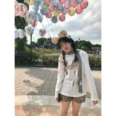批发纯棉210克精梳精密印花秋季宽松长袖T恤女