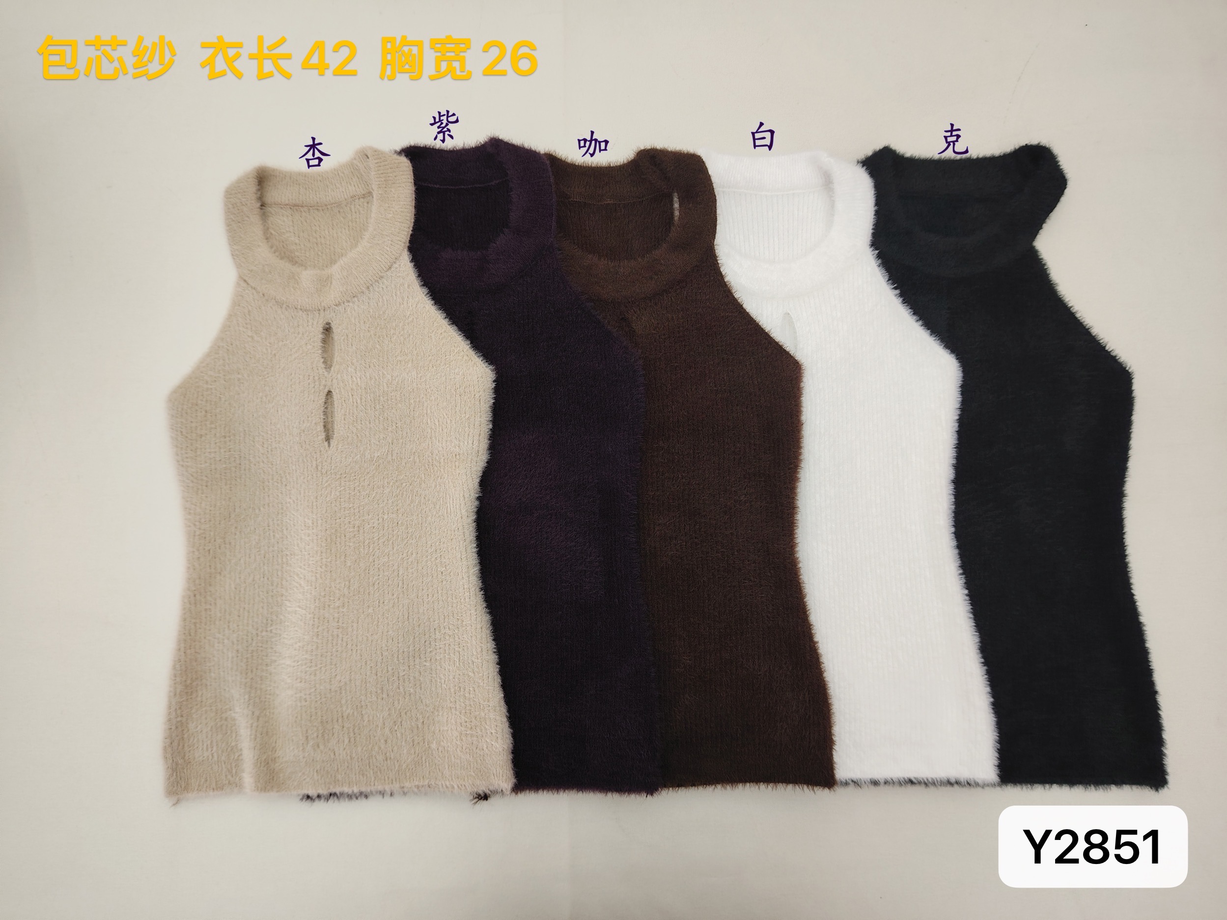 밍크 플리스 행침 목 슬립 보온 조끼 여성 봄 가을 겨울 핫걸 익스트림 제인 바람 민소매 인사이드 가져 가라. 벨트 만나는 맨위
