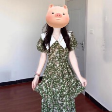 批发娃娃领碎花连衣裙女装<b class='q'>夏季</b>新款短袖蛋糕裙高端气质收腰显瘦雪纺裙