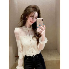 批发蕾丝<b class='q'>衬衫</b>女冬季内搭打底高端时髦洋气巨好看减龄气质法式上衣
