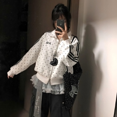 批发【薄款 纯棉】学院风翻领字母<b class='q'>开衫</b>拉链长袖<b class='q'>卫衣</b>外套