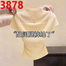 批发欧货半高领微透烫钻飞飞袖针织<b class='q'>T</b><b class='q'>恤</b>女夏季新款修身显瘦绝美上衣