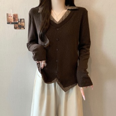 批发实拍2026新款大码女装胖MM秋款设计感假两件拼接遮肚显瘦百搭上衣