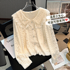 批发秋冬季新款时尚洋气长袖蕾丝衬衫女设计感套头气质百搭打底衫上衣