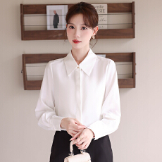 批发白色职业衬衫女2025新款公考面试正装上衣职场<b class='q'>女士</b>长袖衬衣