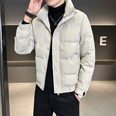 批发新国标短款轻薄羽绒服男士2026新款爆款立领帅气时尚保暖外套
