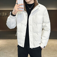 批发新国标羽绒服男加厚保暖2026<b class='q'>冬</b>季休闲时尚立领羽绒外套男
