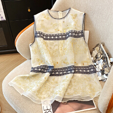 批发实拍新中式重工刺绣<b class='q'>欧根纱</b>马甲女夏新国风高级感小众宽松无袖上衣