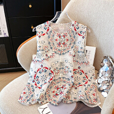 批发实拍白色高级感<b class='q'>欧根纱</b>新中式马甲女夏桑蚕丝重工刺绣国风背心上衣