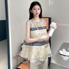 批发新中式重工刺绣<b class='q'>欧根纱</b>马甲女夏季新款国风高级感小众宽松无袖<b class='q'>上衣</b>