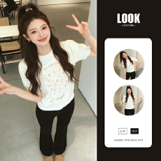 批发轻奢风重工刺绣短袖T恤女2026春秋白色圆领<b class='q'>修身</b>显瘦百搭针织上衣