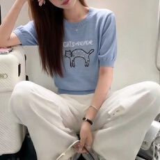 批发实拍 胖mm<b class='q'>大码</b>女装2026短袖夏季新款圆领半袖上衣打底衫针织衫