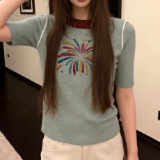 批发实拍 胖mm<b class='q'>大码</b>女装2026短袖夏季新款圆领半袖上衣打底衫针织衫