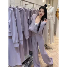 批发小个子时尚休闲连帽<b class='q'>卫衣</b><b class='q'>套装</b><b class='q'>女</b>秋冬紫色拉链外套直筒阔腿裤<b class='q'>两件</b>套