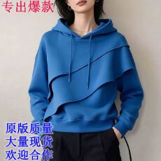 批发2025年秋新款时尚气质高级感百搭<b class='q'>显瘦</b>宽松上衣女休闲连帽长袖卫衣