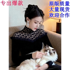 批发秋冬黑色蕾丝<b class='q'>镂空</b>半高领丝绒打底<b class='q'>衫</b>女内搭设计感修身显瘦长袖上衣