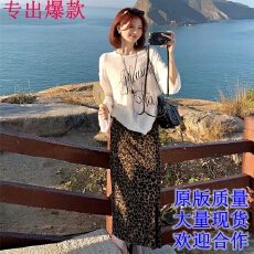 批发芝士Cheese氛围纹理春夏韩版复古休闲豹纹时尚<b class='q'>百搭</b>高腰半身裙女