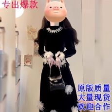 批发高端精致黑色<b class='q'>丝绒</b>连衣裙两件<b class='q'>套装</b>女赫本风长袖气质长裙大女主气场