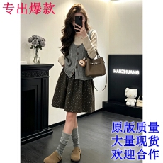 批发灰色<b class='q'>背心</b>碎花半身裙女早秋2026新款小个子巨好看韩系穿搭一整套装
