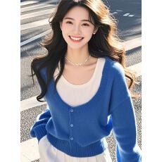 批发洋气减龄上衣蓝色假两件针织衫女2025秋季新款今年流行的漂亮小衫