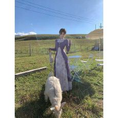 批发2025年新中式国风【软香玉】假两件百搭连衣裙修身显瘦设计感旗袍
