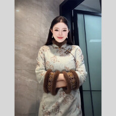 批发新中式风立领刺绣连衣裙女秋冬加绒显瘦日常中式裙2026年新款