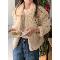 批发实拍 已出 <b class='q'>韩国</b>chic翻领休闲百搭毛绒绒羊羔毛外套女