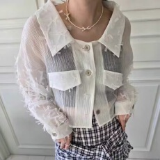 批发chic 2026透视衬衫立体化单排扣显瘦衬衣