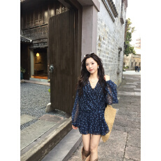 批发实拍实价  新款韩系复古碎花长袖<b class='q'>雪纺</b>衬衫裙女