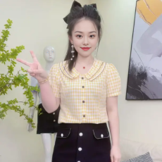 批发<b class='q'>夏</b>季2025新款短袖T恤女上衣女设计感小众减龄格子漂亮小衫洋气质