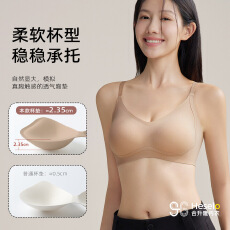秋冬加厚磨毛聚拢内衣山茶花精油养护提拉文胸固定杯小胸显大