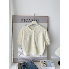 批发<b class='q'>韩国</b><b class='q'>代购</b>大码女装2025靓丽新款圆领系扣时尚钩花短袖针织<b class='q'>T</b><b class='q'>恤</b>