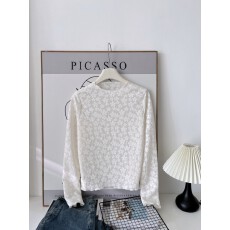 批发<b class='q'>韩国</b>原单蕾丝打底衫女网纱内搭长袖上衣时尚时髦钩花镂空小衫