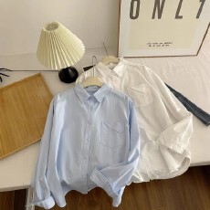 批发高级感轻奢<b class='q'>衬衫</b><b class='q'>女长袖</b>2026新款早春宽松气质通勤纯棉盐系上衣