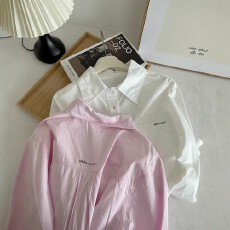 批发设计感百搭字母前后<b class='q'>刺绣</b><b class='q'>衬衫</b>女2026夏季新款宽松气质显瘦上衣