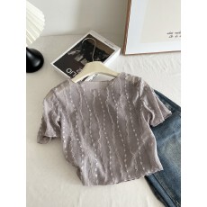 批发透明网纱短袖t恤女2026新款夏季吊带裙外搭打底<b class='q'>蕾丝</b>半截罩衫