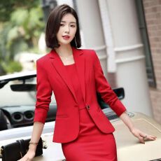批发<b class='q'>职业</b>装女装套装裙2025新款秋冬季长袖西装高级感显瘦连衣裙工作服