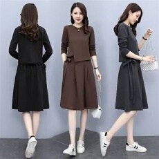 批发大码遮肚胖mm两件套时尚套装裙子春款女装2026新款减龄胖妹妹冬季