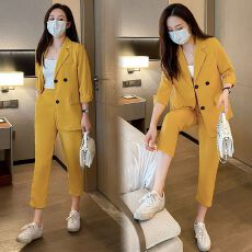 批发大码西装套装女2026新款<b class='q'>韩版</b>时尚气质后背开叉休闲七分裤两件套