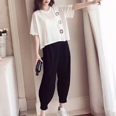 批发大码女装胖mm<b class='q'>哈伦裤</b>套装2026夏季新款气质显瘦遮肉减龄网红两件套