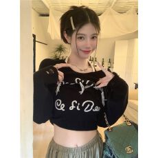批发已出货美式字母刺绣长袖t恤女秋季设计感独特别致<b class='q'>宽松</b>显瘦短