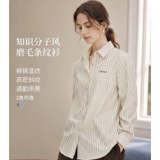 批发通勤刺绣竖条纹衬衫女2026年早秋季穿搭休闲宽松<b class='q'>长袖</b>衬衣