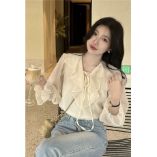 批发V领<b class='q'>雪纺</b><b class='q'>衬衫</b>女小众春夏新款泡泡袖别致上衣