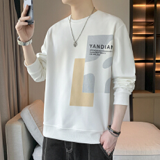 批发新款男士时尚印花<b class='q'>港风</b>设计感宽松百搭休闲圆领卫衣