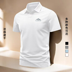 批发翻领POLO衫潮款 配图配版 提供自 助烫图 提前一天报<b class='q'>货</b>一件起批