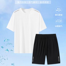 批发<b class='q'>夏</b>季休闲简约运动套装男速干透气短袖两件套(提前报货 10件起拿)