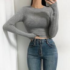 批发韩国东大门秋冬新款气质修身薄款微透显身材短款长袖打底衫T恤女