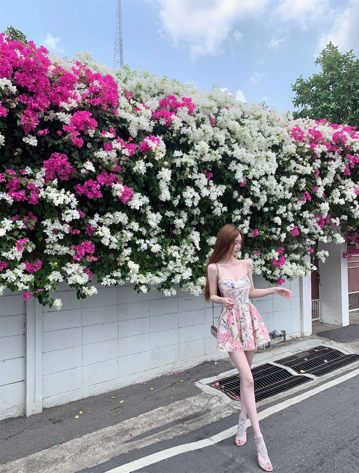 kikimy 꽃 와일드 팬 추적 ga@den a 3 차원 레이스 높은 정밀도 직분사 프린트