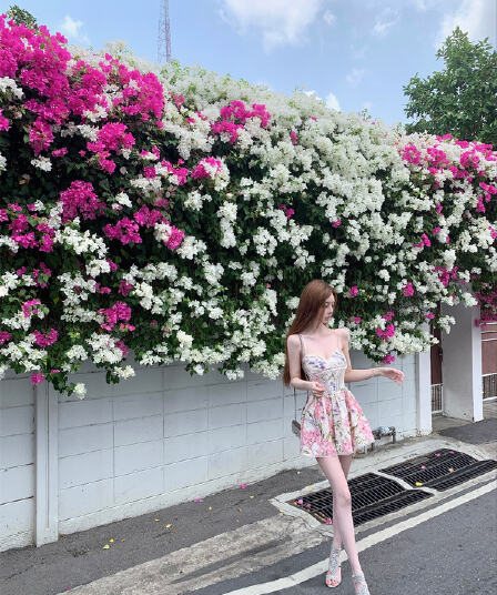 kikimy 꽃 와일드 팬 추적 ga@den a 3 차원 레이스 높은 정밀도 직분사 프린트