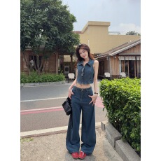 批发<b class='q'>实拍</b>实价 夏季美式复古蓝色短款翻领修身衬衫直筒显瘦长<b class='q'>裤</b>套<b class='q'>装</b>女